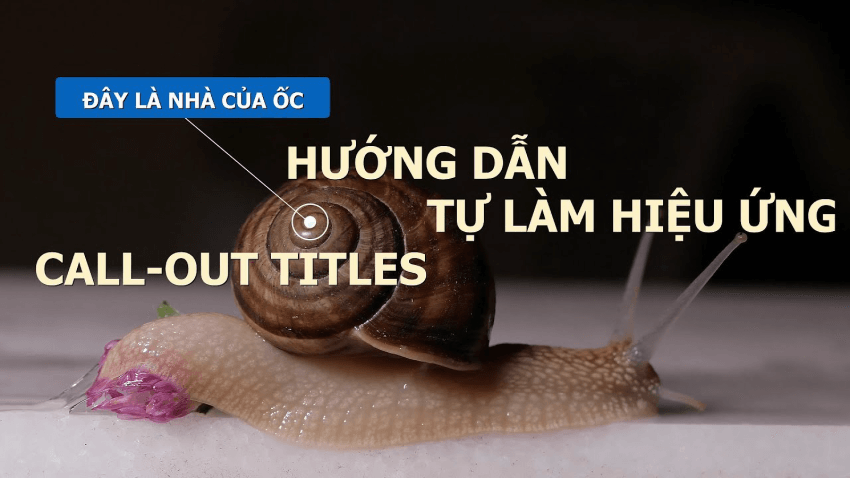Hướng dẫn hiệu ứng Call Outs Tittle trong After Effects